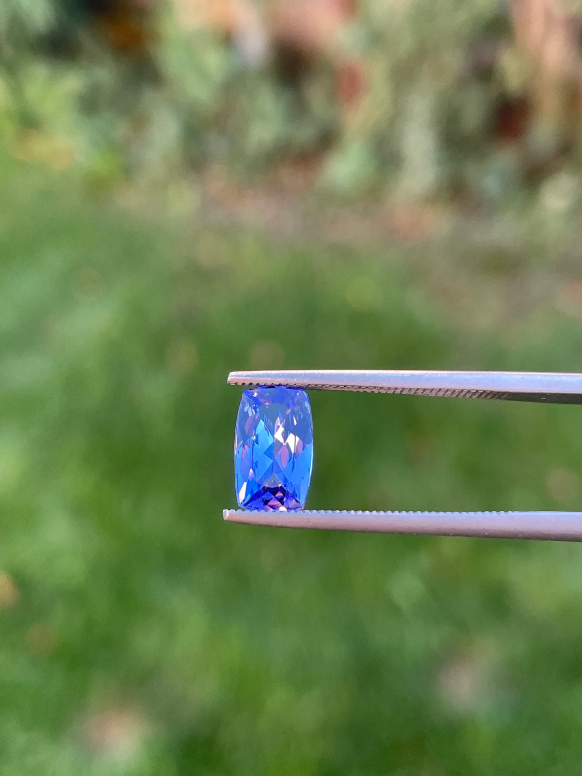 Tanzanite 1.44 Ct