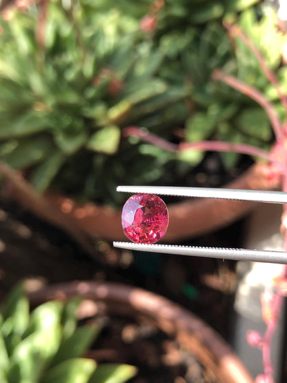 Natural Red Rubellite Tourmaline 2.07 ct, Afghanistan