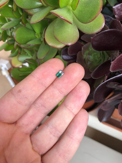 Natural Green Bicolor Tourmaline 0.63 ct, Afghanistan