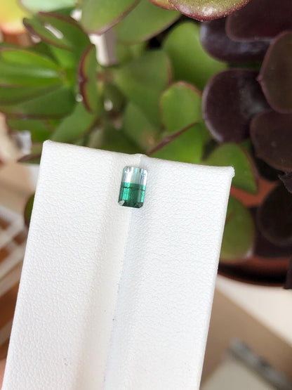 Natural Green Bicolor Tourmaline 0.63 ct, Afghanistan