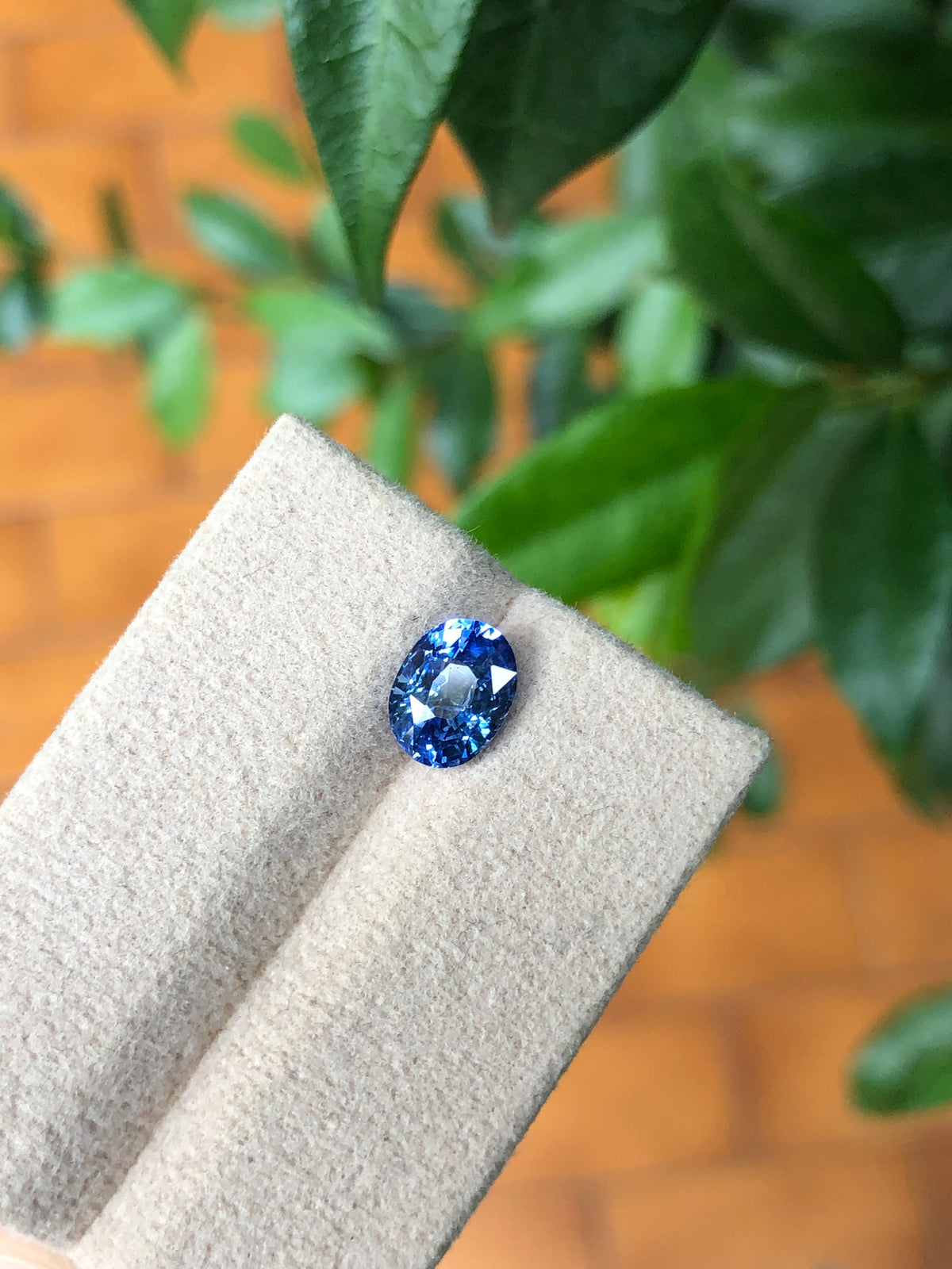 Zaffiro Ceylon 100% naturale 2.01 Ct