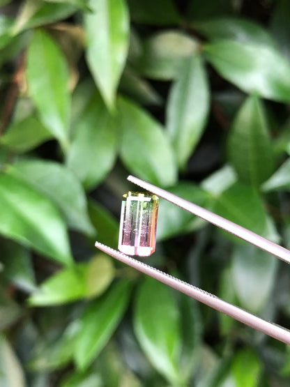 Tormalina Watermelon 2.10 Ct Afghanistan