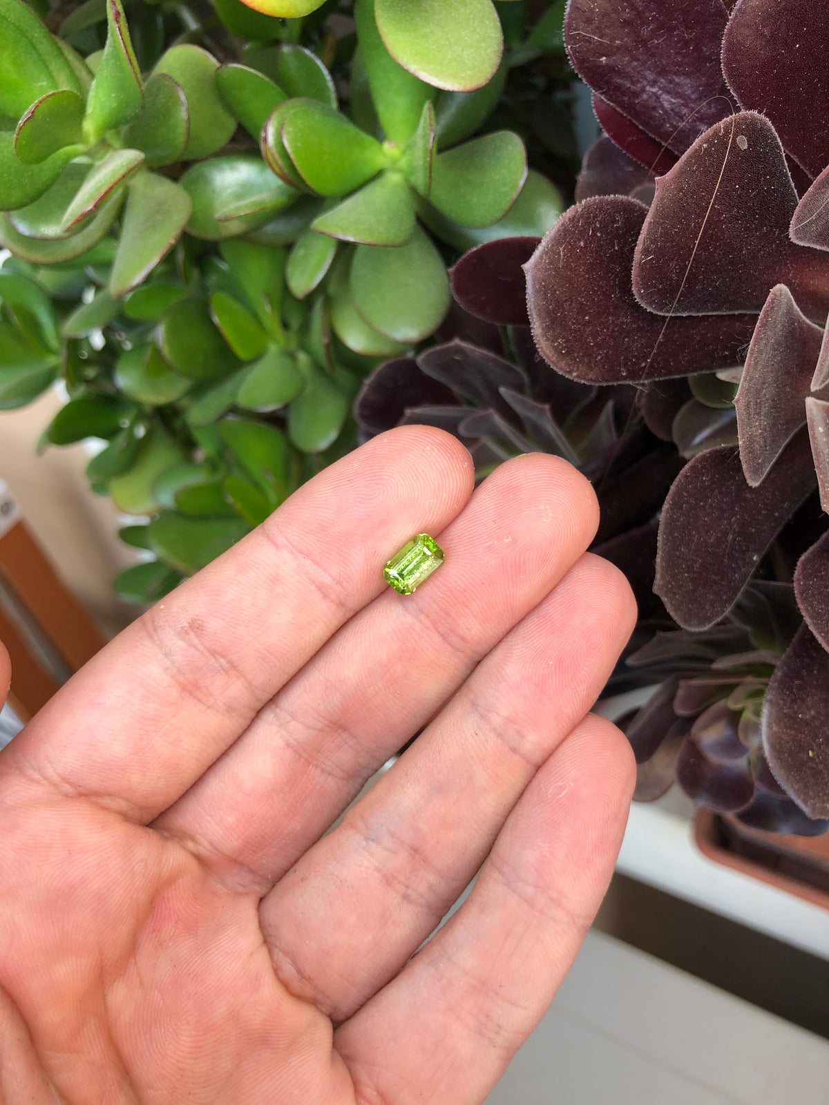 Peridoto Pakistan 1.90 Ct