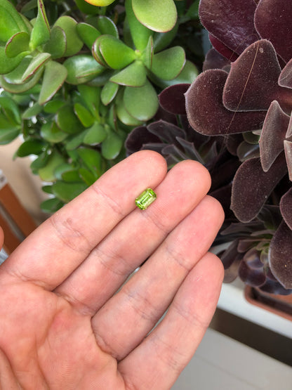 Peridoto Pakistan 1.90 Ct