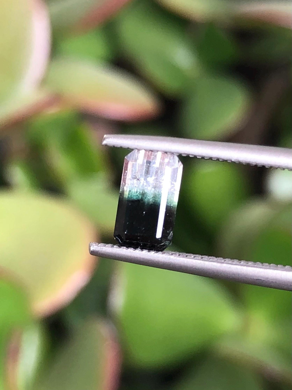Natural Bicolor Black/White Tourmaline 0.81 ct