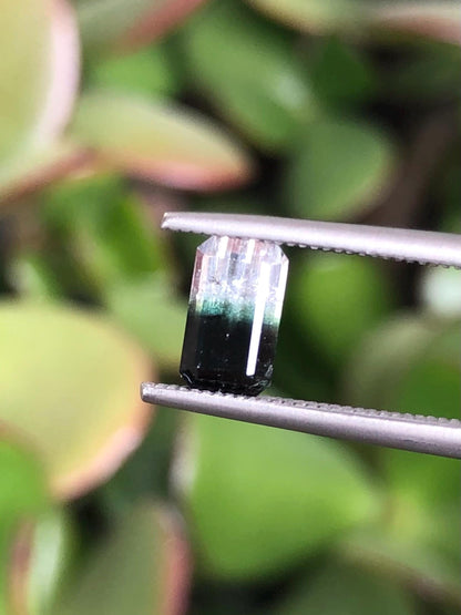 Natural Bicolor Black/White Tourmaline 0.81 ct