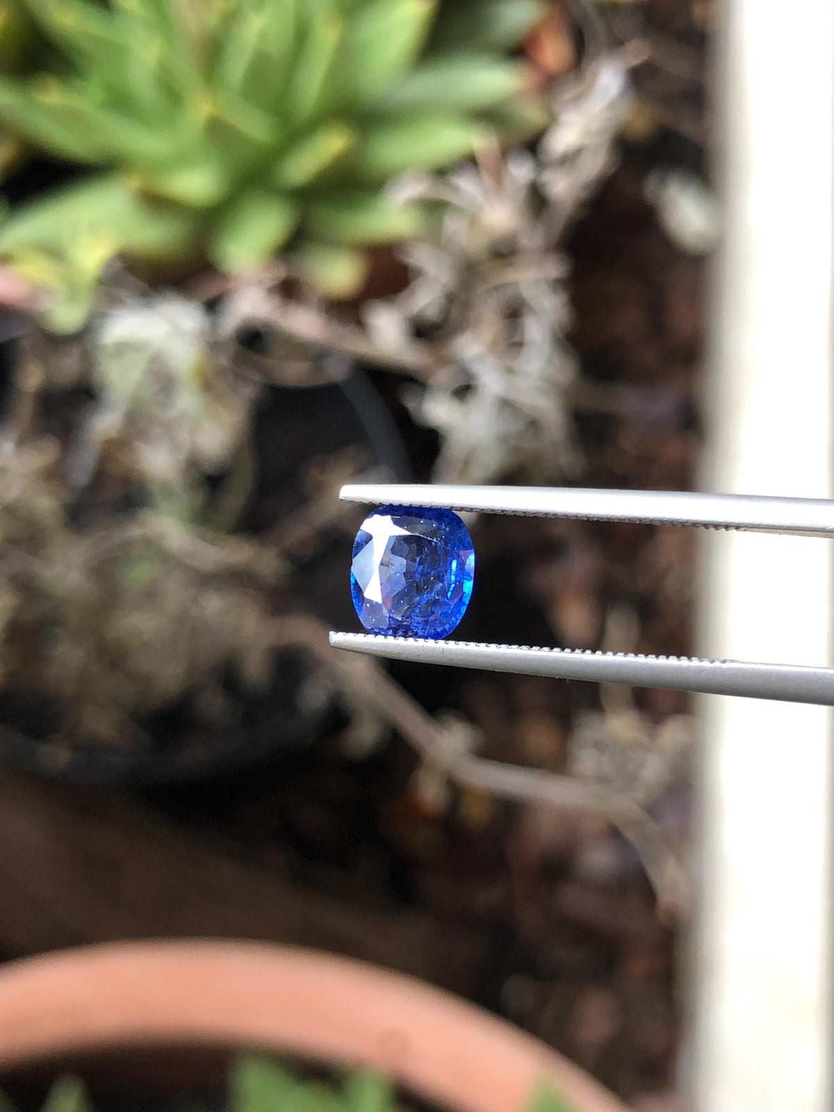 Natural Blue Sapphire 1.26 ct, Sri Lanka