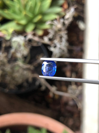 Natural Blue Sapphire 1.26 ct, Sri Lanka