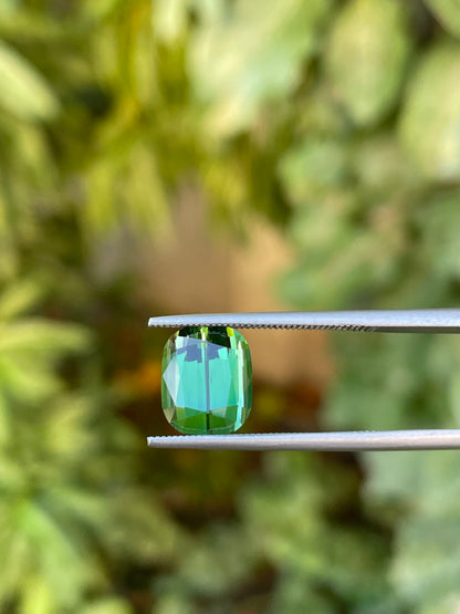 Tormalina 4.39 Ct