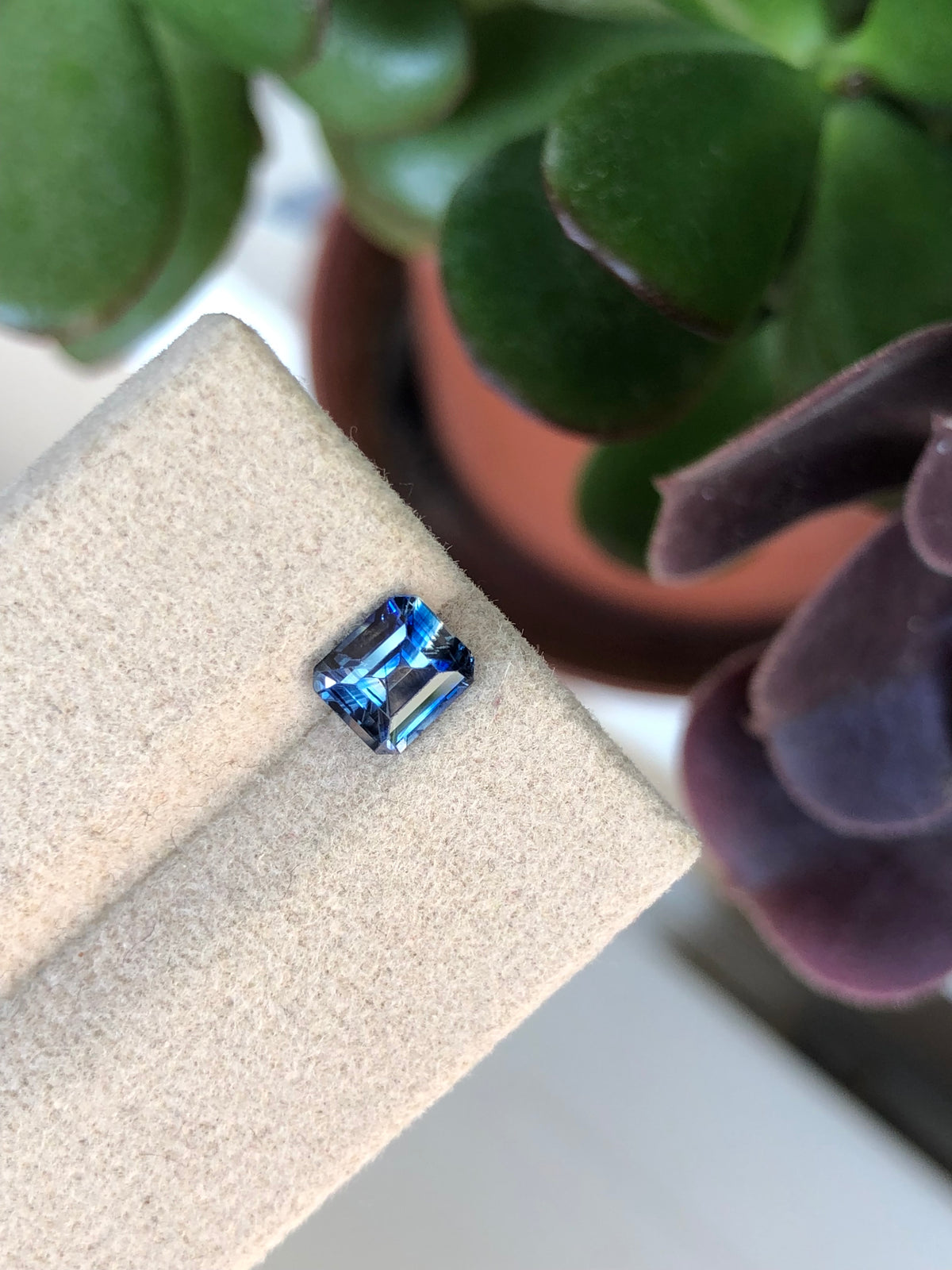 Zaffiro Bicolore Sri Lanka 1.05 ct