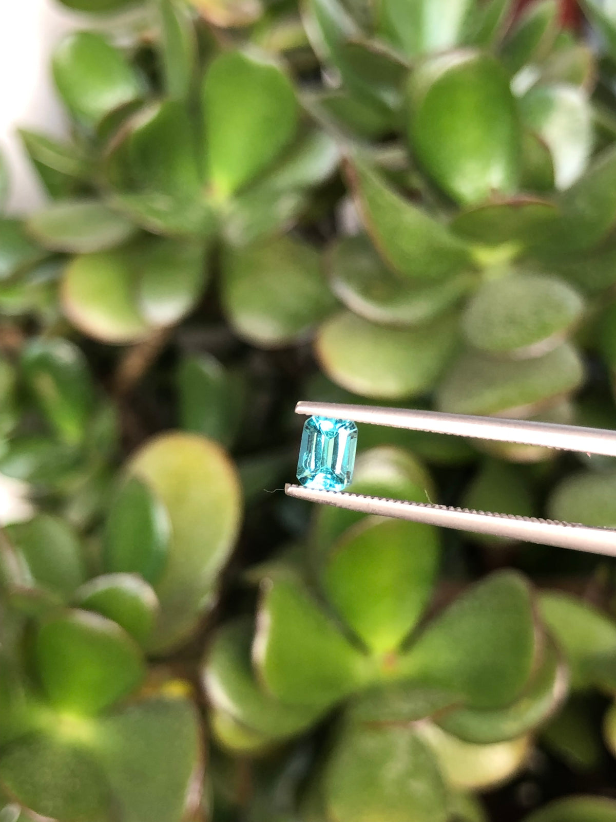 Tormalina Lagoon Madagascar 0.50 Ct