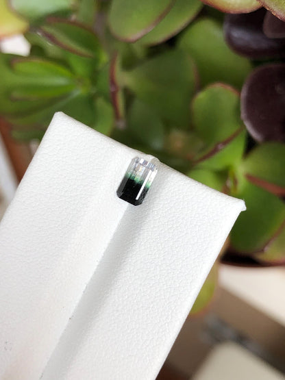 Natural Bicolor Black/White Tourmaline 0.81 ct