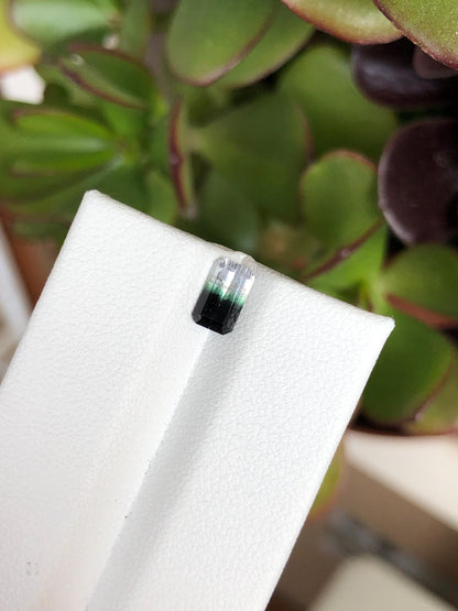 Natural Bicolor Black/White Tourmaline 0.81 ct