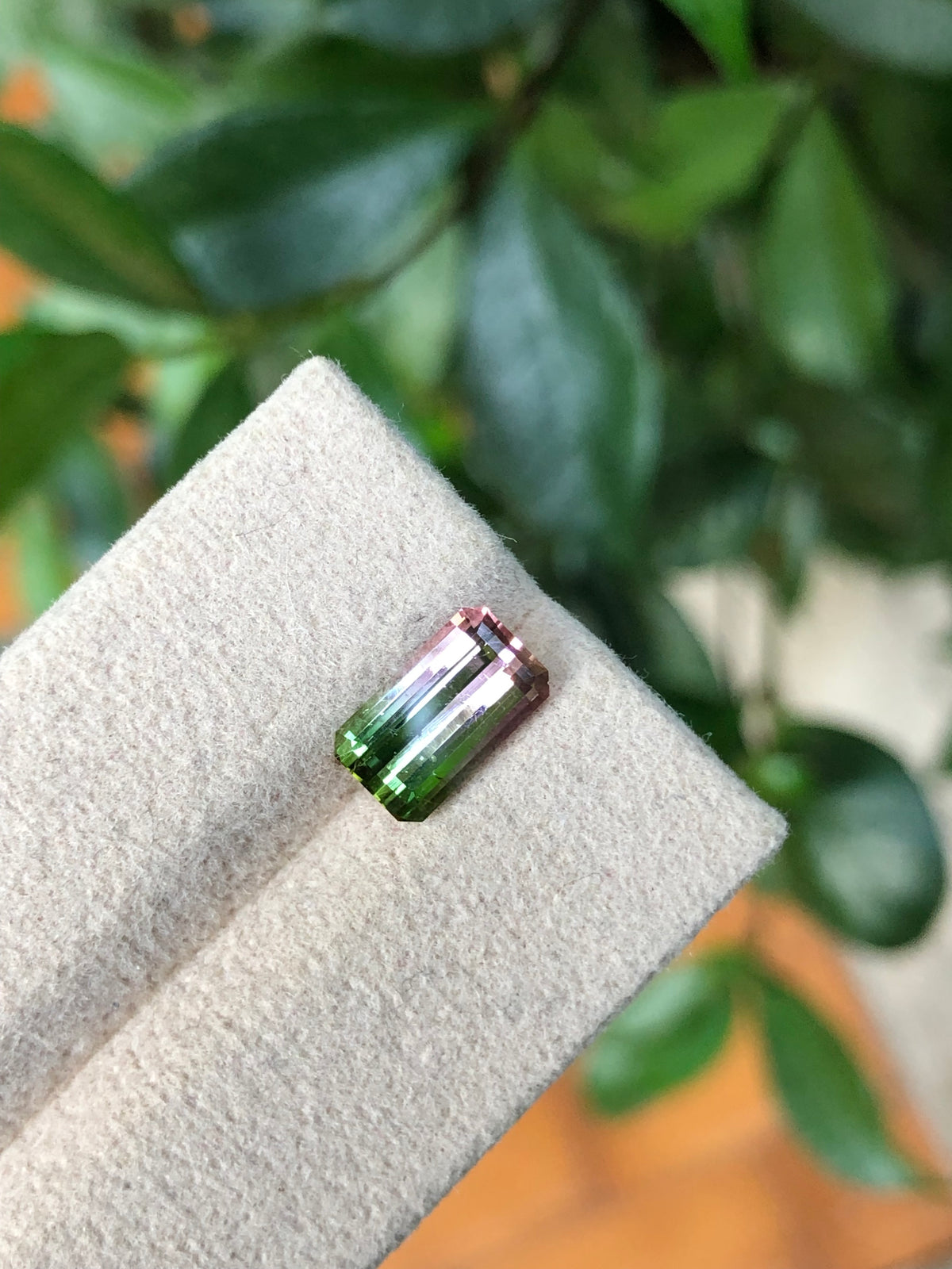 Tormalina Watermelon 2.10 Ct Afghanistan