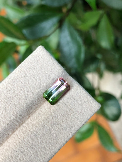 Tormalina Watermelon 2.10 Ct Afghanistan