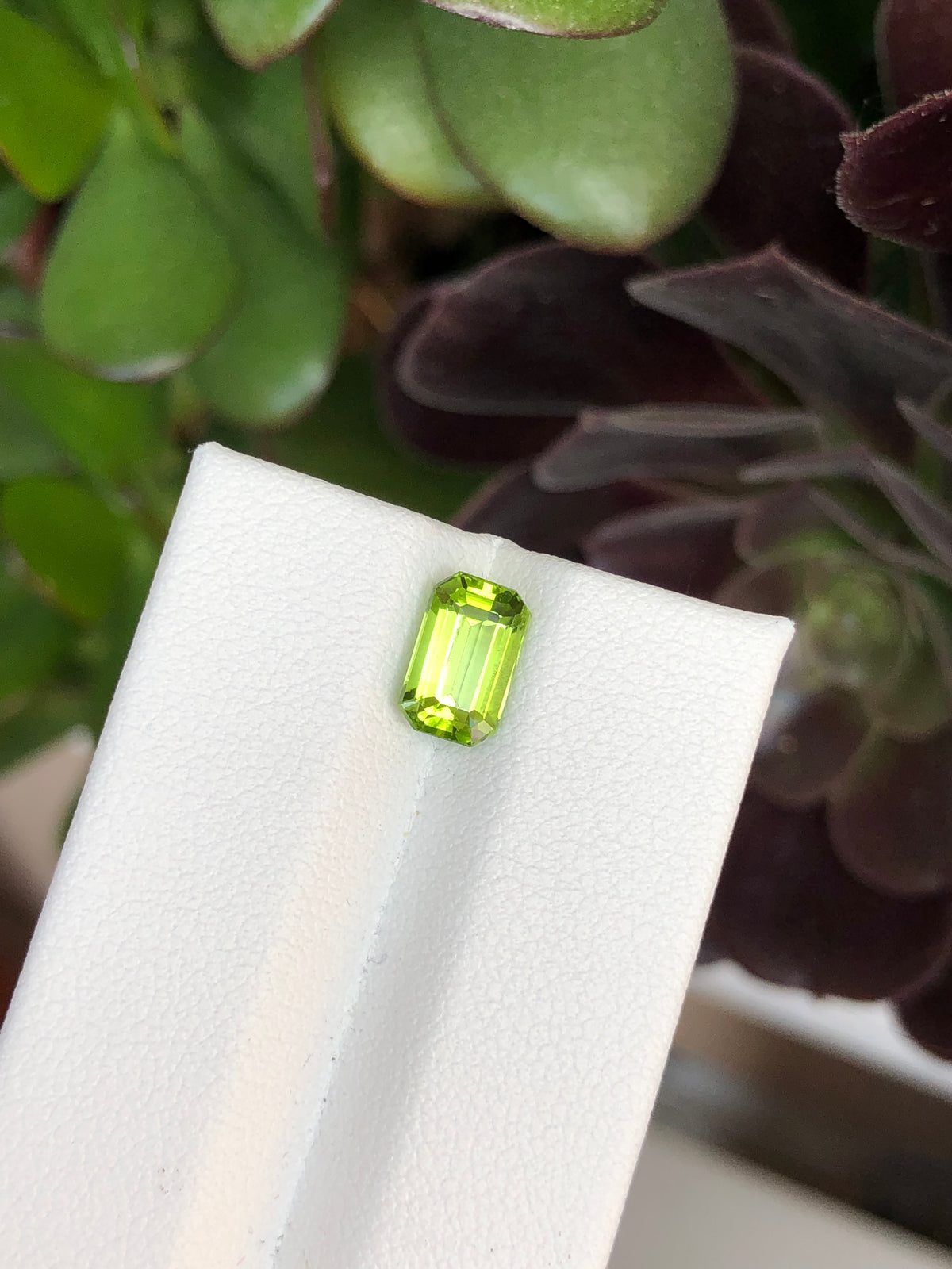 Peridoto Pakistan 1.90 Ct
