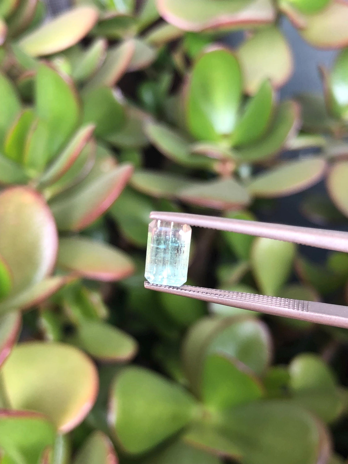 Natural Bicolor Aqua Blue Tourmaline Pair 3.57 ct