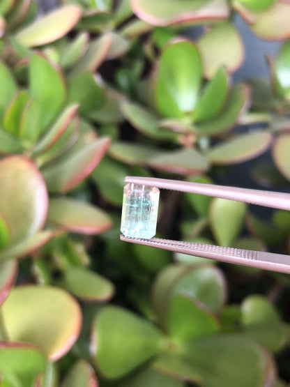 Natural Bicolor Aqua Blue Tourmaline Pair 3.57 ct