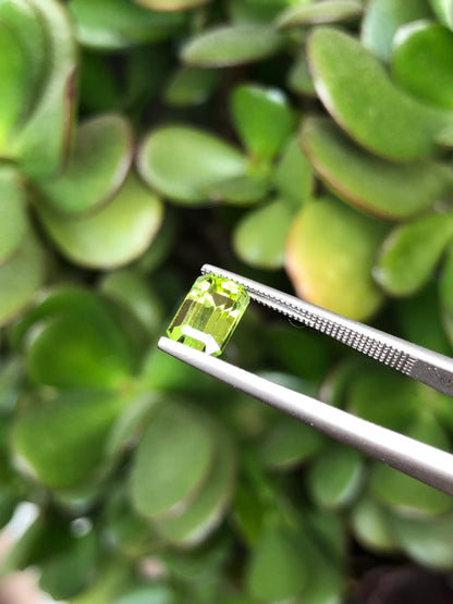 Peridoto Pakistan 1.90 Ct