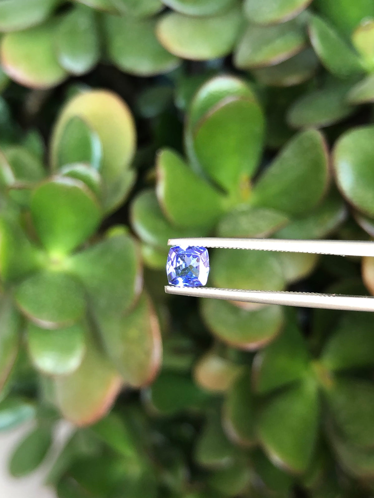 Tanzanite 0.52 Ct