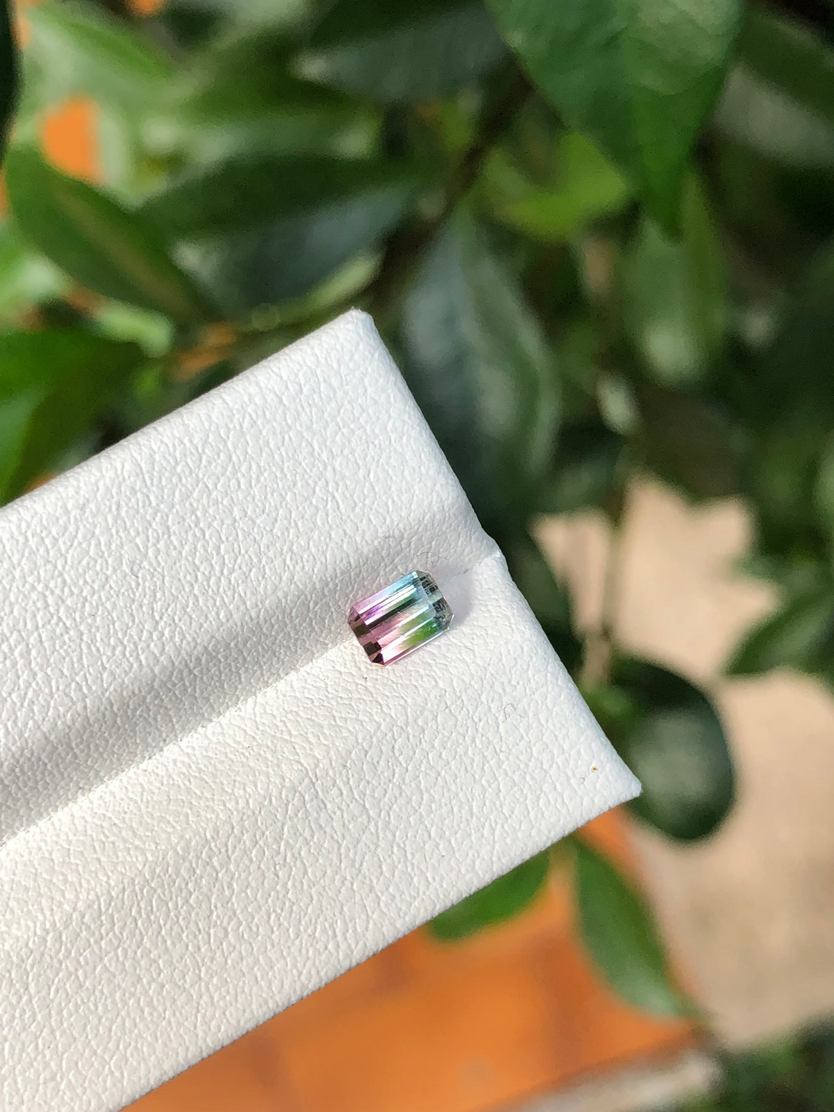 Tormalina Bicolore Afghanistan 0.68 Ct.