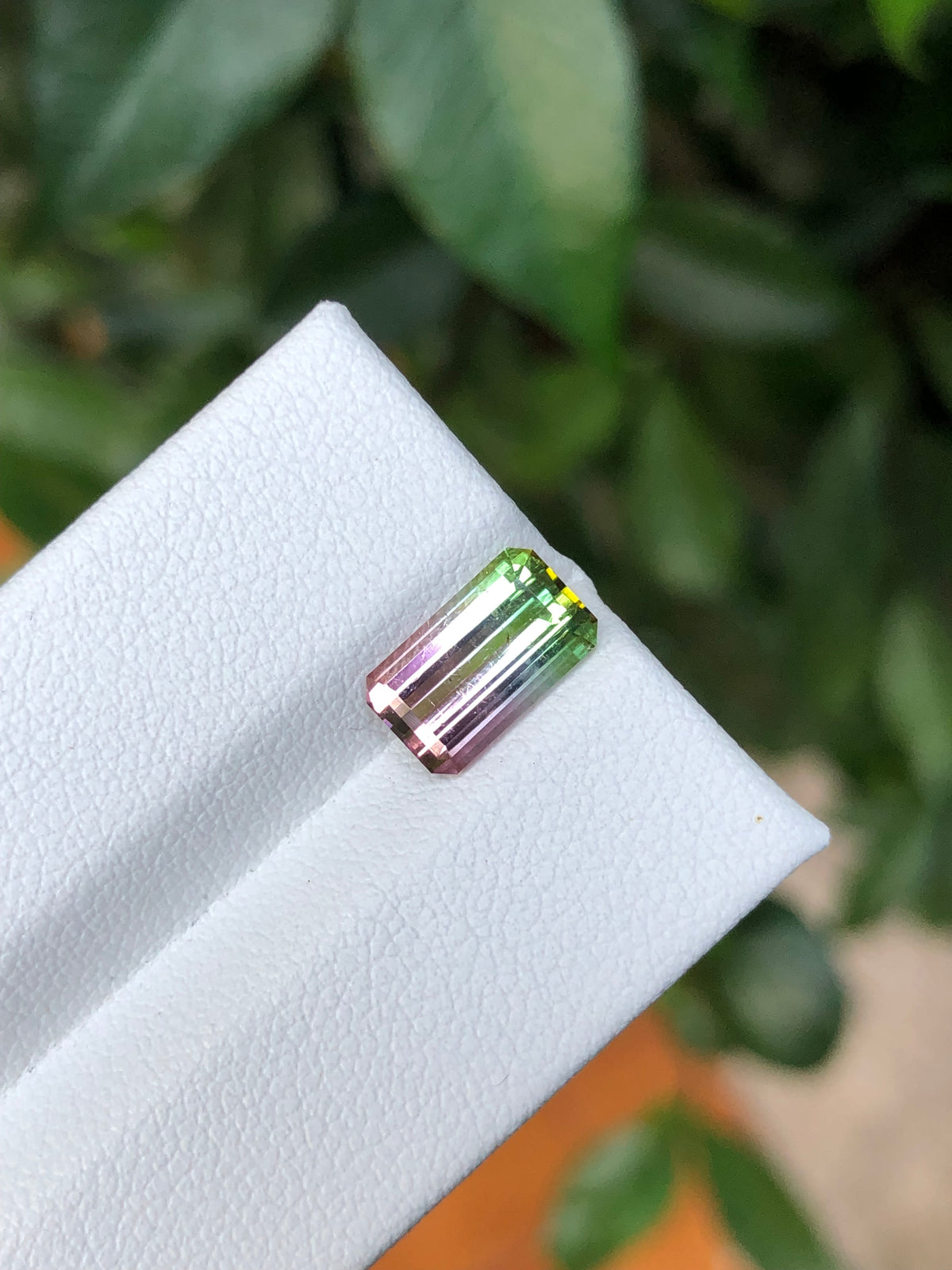 Tormalina Watermelon 2.10 Ct Afghanistan