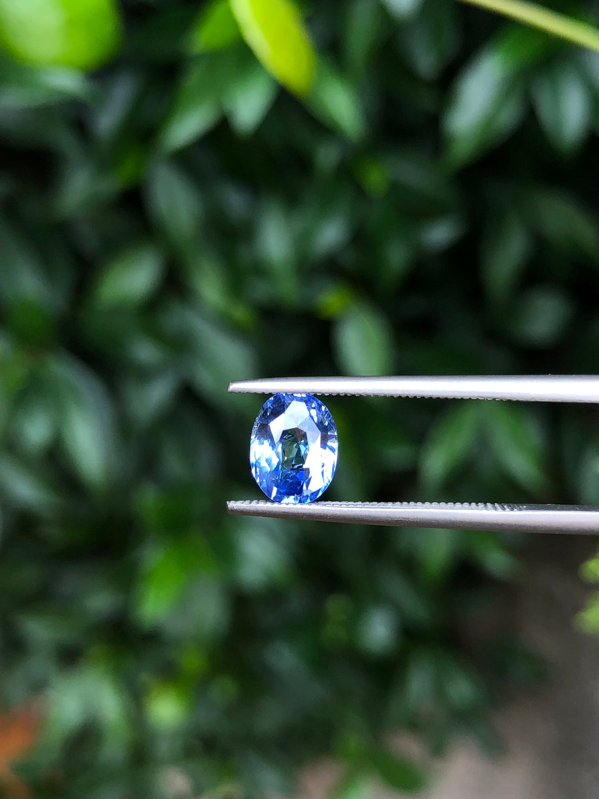 Zaffiro Ceylon 100% naturale 2.01 Ct