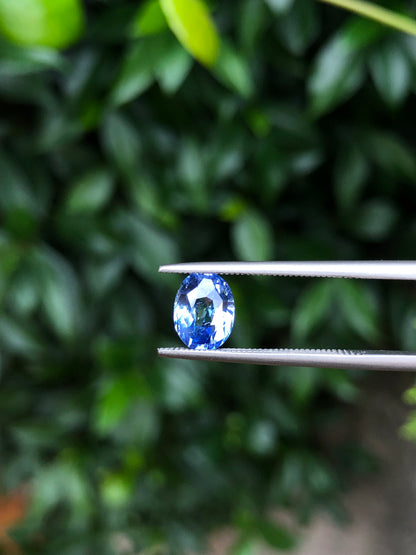 Zaffiro Ceylon 100% naturale 2.01 Ct