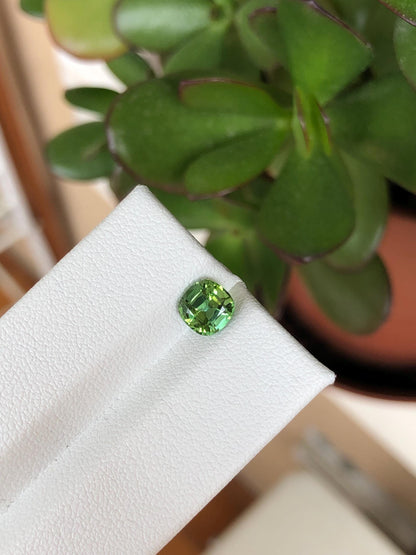 Natural green/blue Tourmaline 1.12 ct,