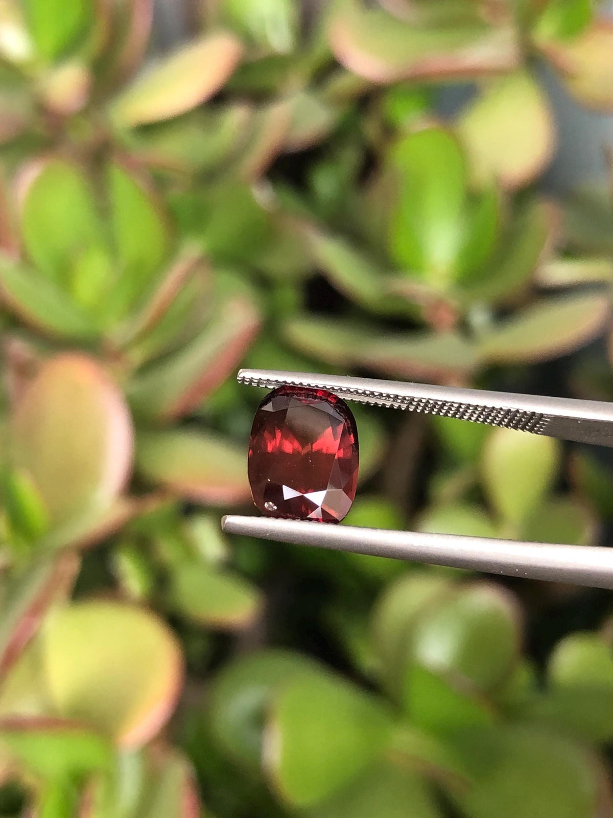 Natural Red Zircon 3.98 ct, Tanzania