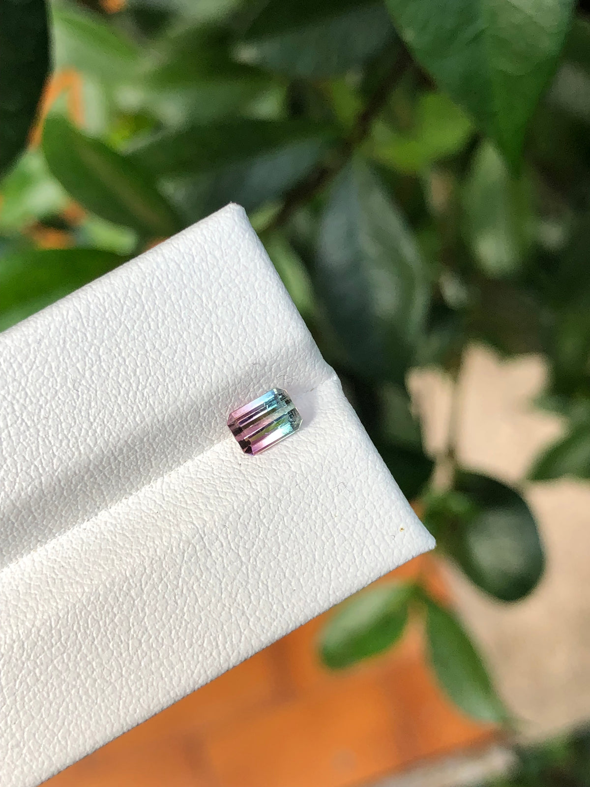 Tormalina Bicolore Afghanistan 0.68 Ct.