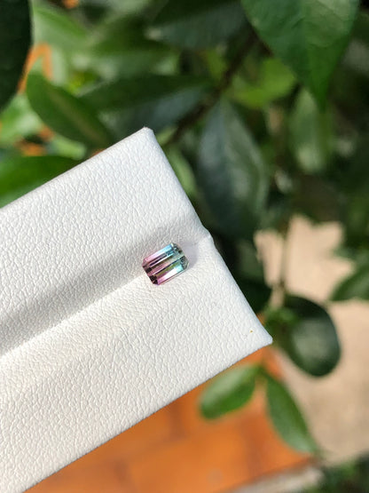 Tormalina Bicolore Afghanistan 0.68 Ct.