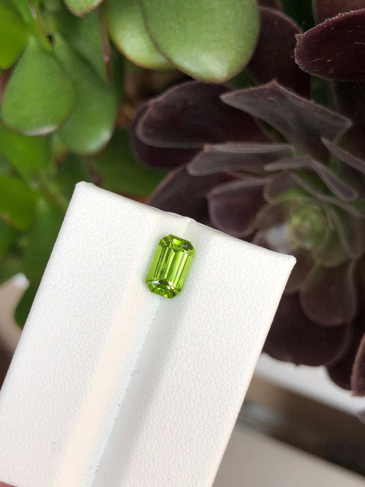 Peridoto Pakistan 1.90 Ct