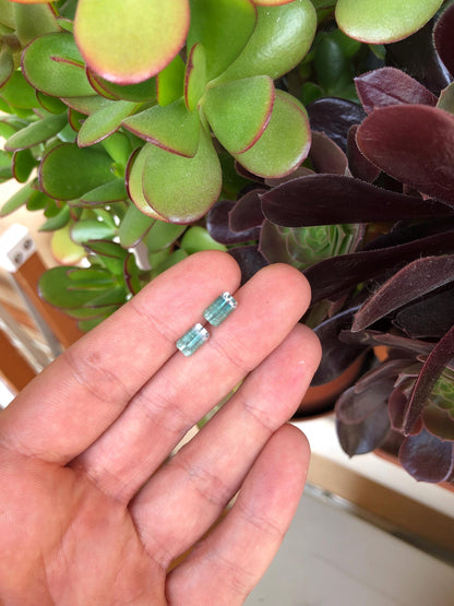 Natural Bicolor Aqua Blue Tourmaline Pair 3.57 ct