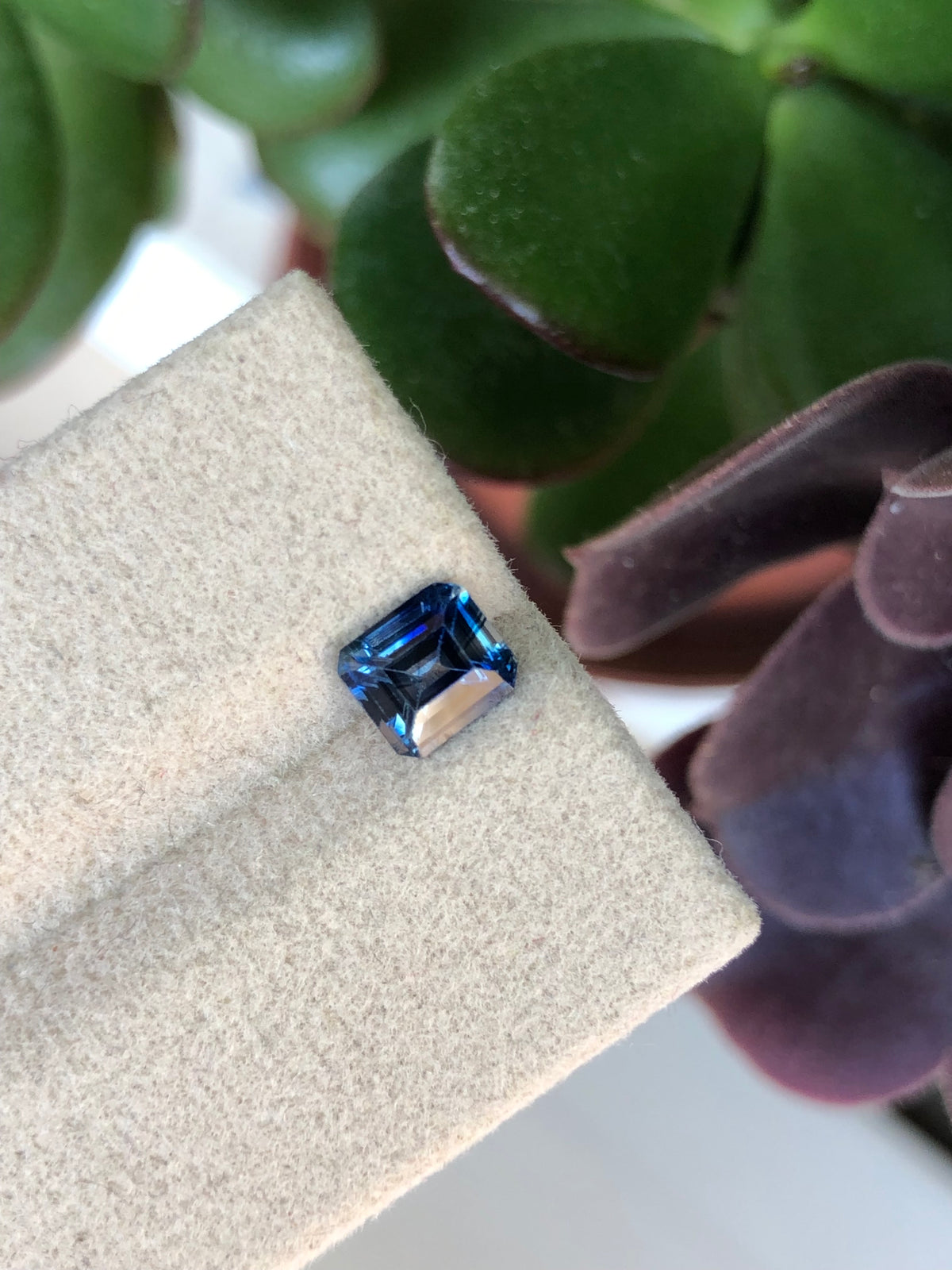 Zaffiro Bicolore Sri Lanka 1.05 ct