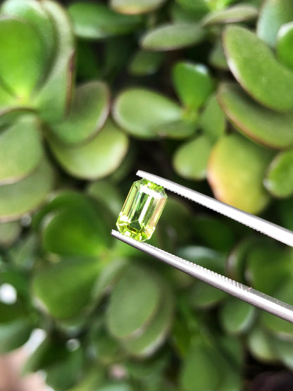 Peridoto Pakistan 1.90 Ct