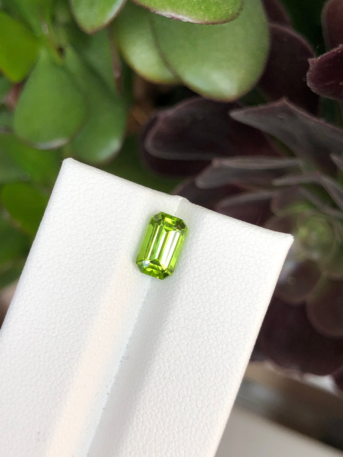 Peridoto Pakistan 1.90 Ct