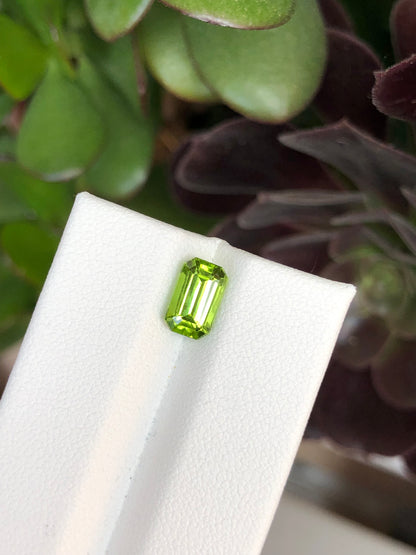 Peridoto Pakistan 1.90 Ct
