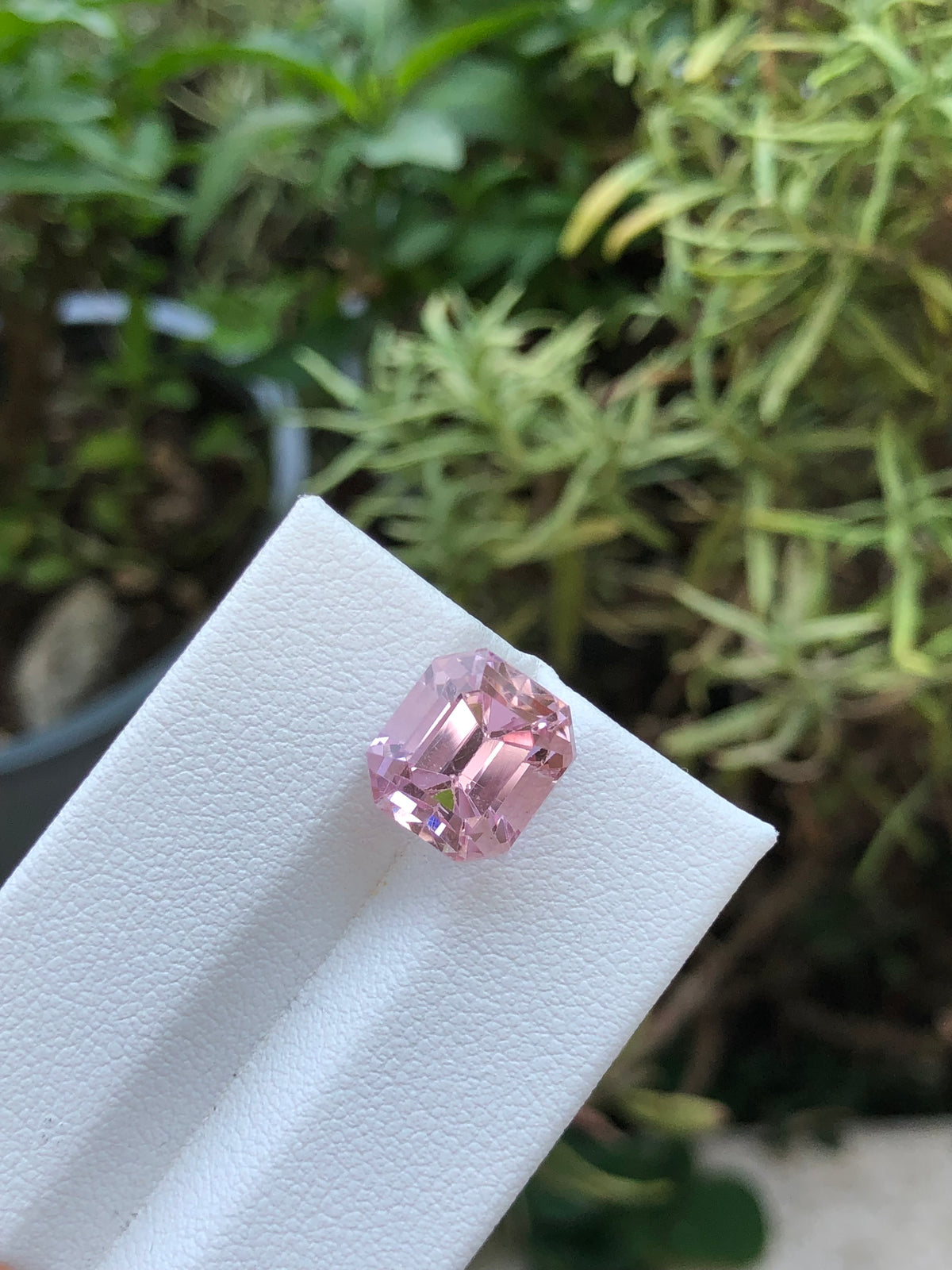 Kunzite Afghanistan 7.51 ct