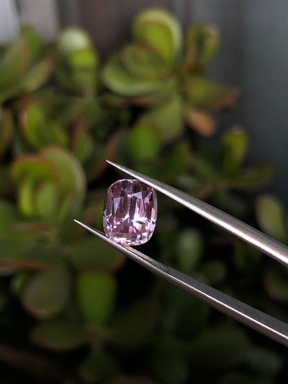 Kunzite Afghanistan 4.30 Ct