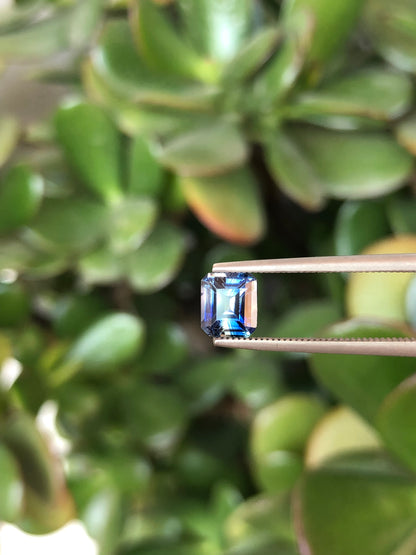 Zaffiro Bicolore Sri Lanka 1.05 ct