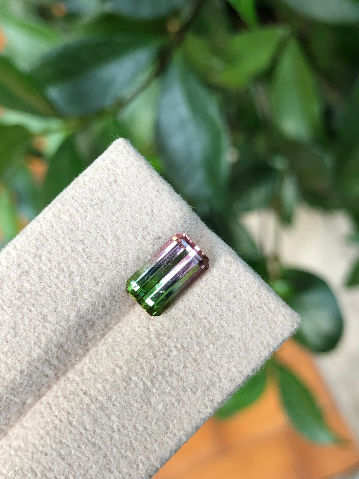 Tormalina Watermelon 2.10 Ct Afghanistan