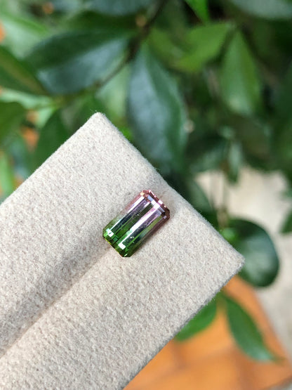 Tormalina Watermelon 2.10 Ct Afghanistan