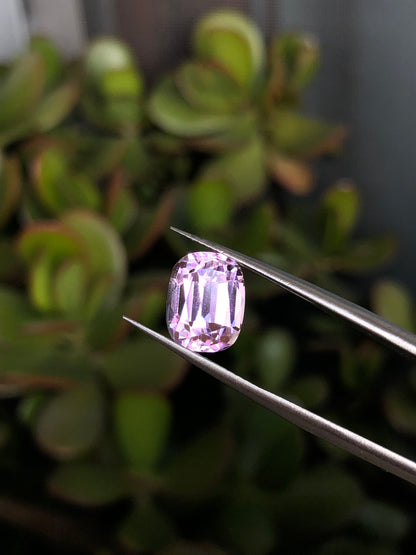 Kunzite Afghanistan 4.30 Ct