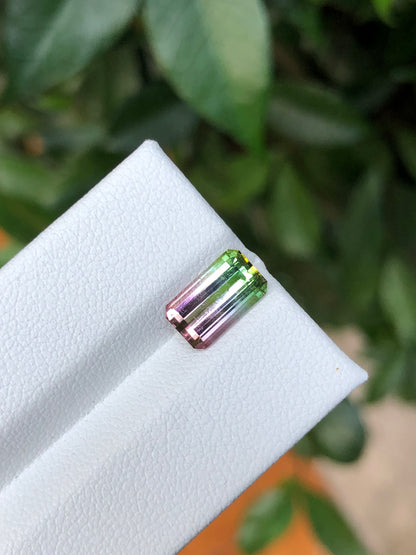 Tormalina Watermelon 2.10 Ct Afghanistan