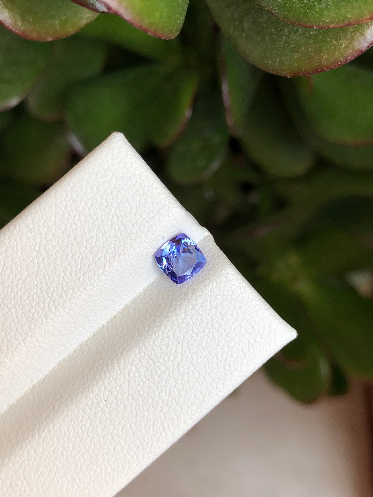 Tanzanite 0.52 Ct