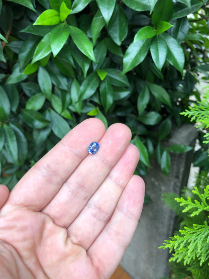Zaffiro Ceylon 100% naturale 2.01 Ct