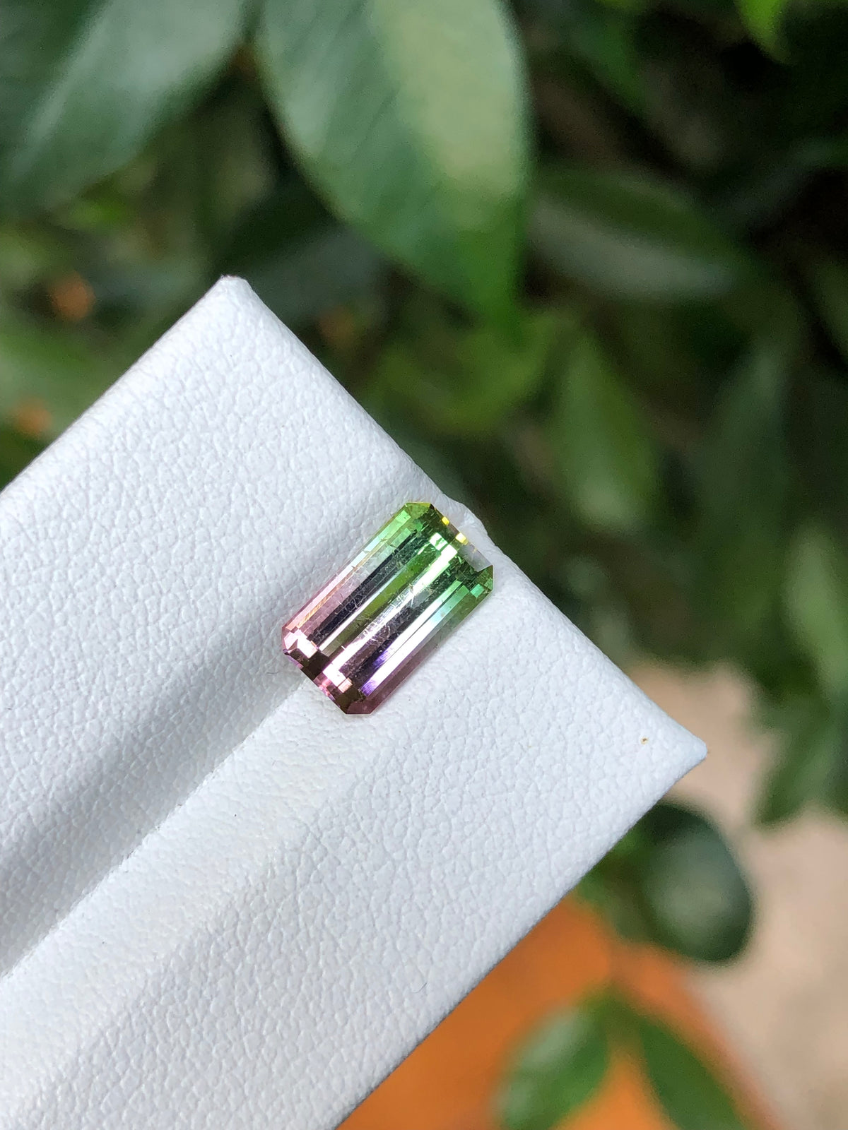 Tormalina Watermelon 2.10 Ct Afghanistan