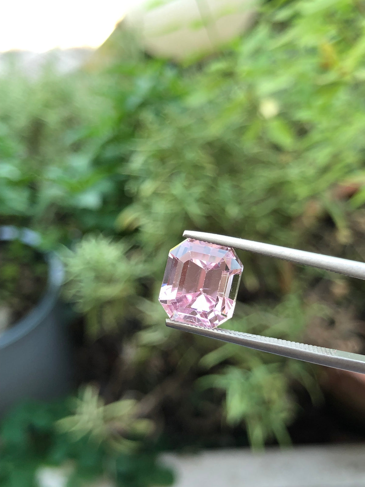Kunzite Afghanistan 7.51 ct