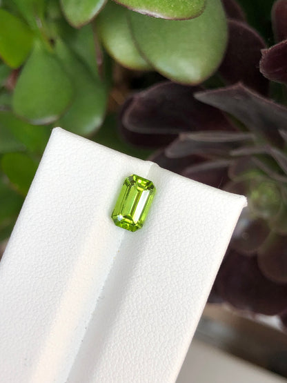 Peridoto Pakistan 1.90 Ct